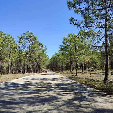 Vakantiehuis Surya's Pataias