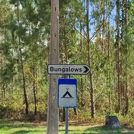 Surya's باتاياس