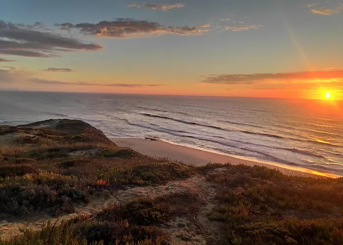 Surya's Holiday home *