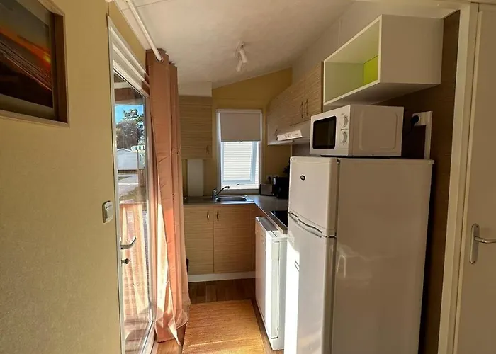 Surya's * 帕塔亚什