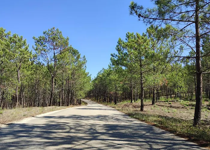 度假居 Surya's 帕塔亚什