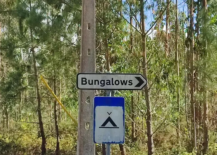 Surya's 帕塔亚什